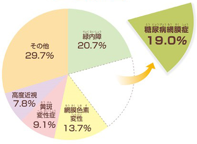 視覚障害の原因