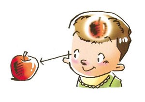 視力の発達にはものを見ることが大切です