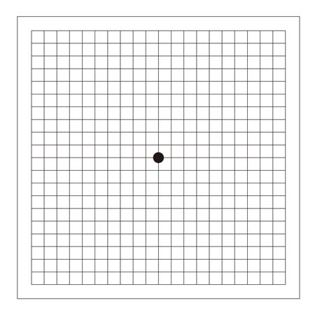すぐわかる症状の検査法（アムスラーチャート）